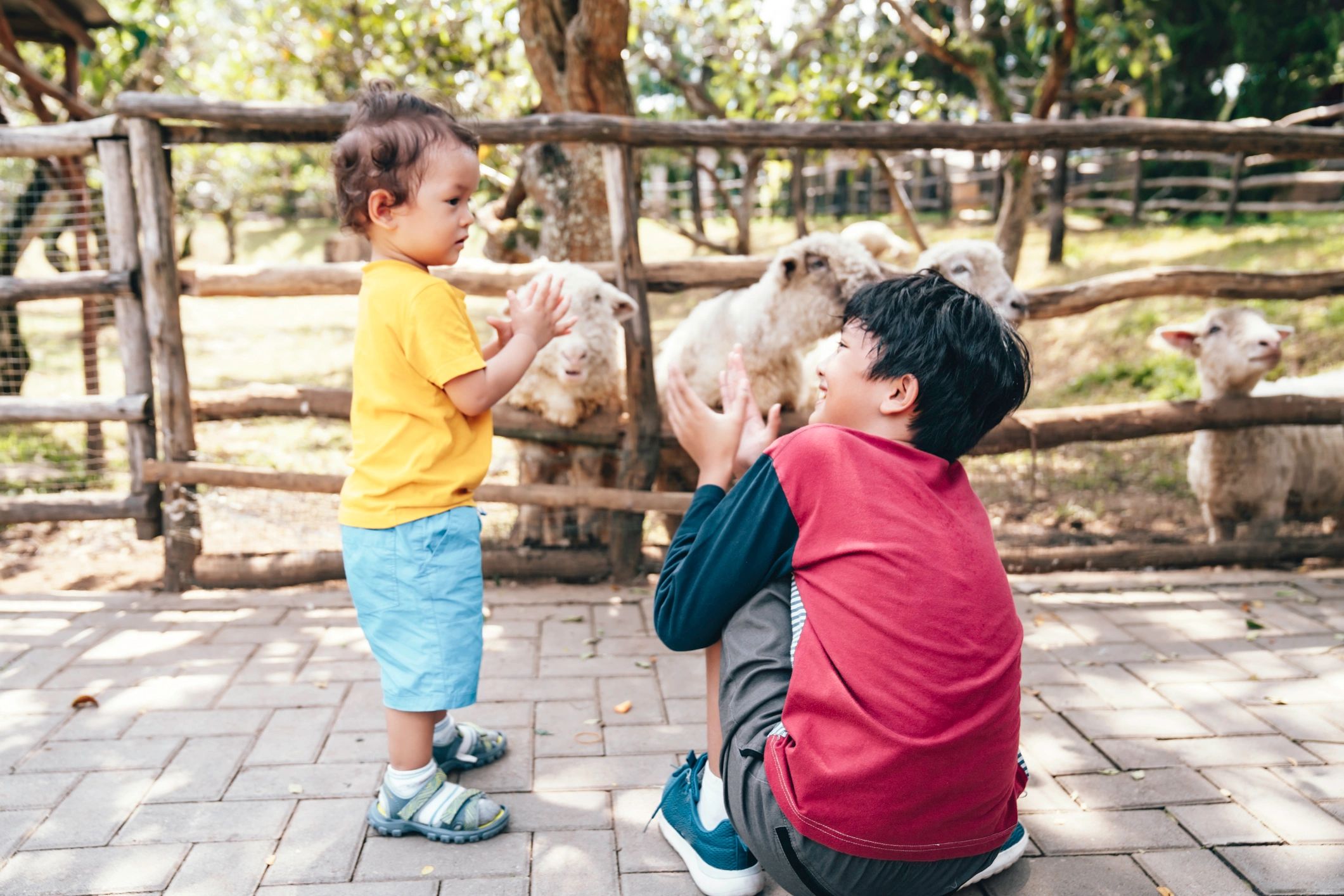 Benefits of Kids Interacting with Animals